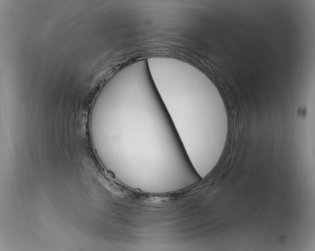 X0000115730664200911121127