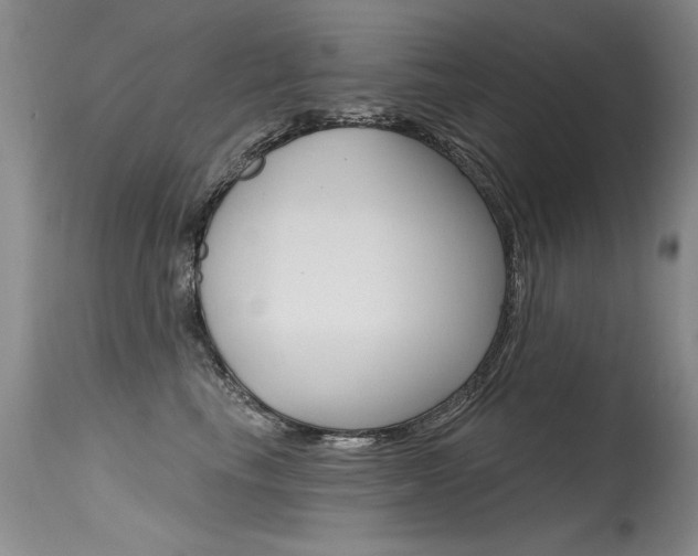 X0000115730665200911121127