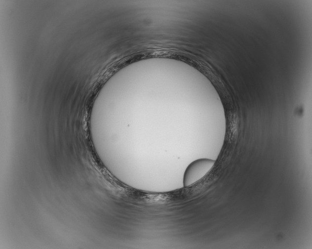 X0000115730667200911121127