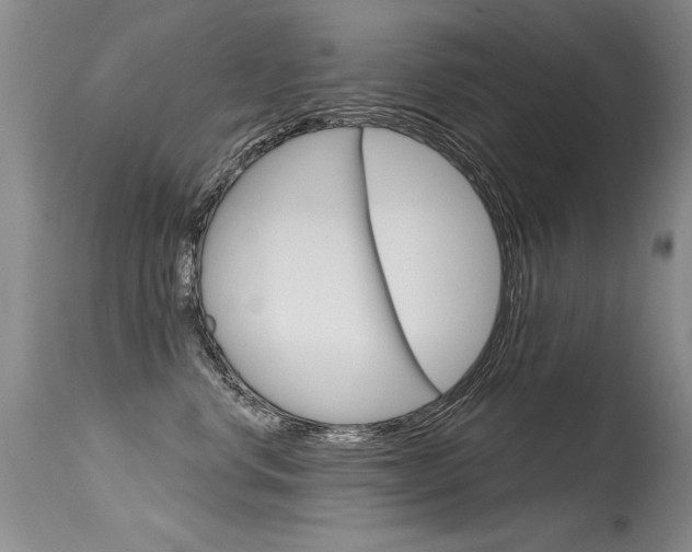 X0000115730668200911121127
