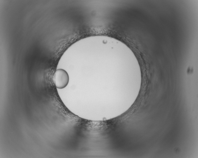 X0000115730672200911121127