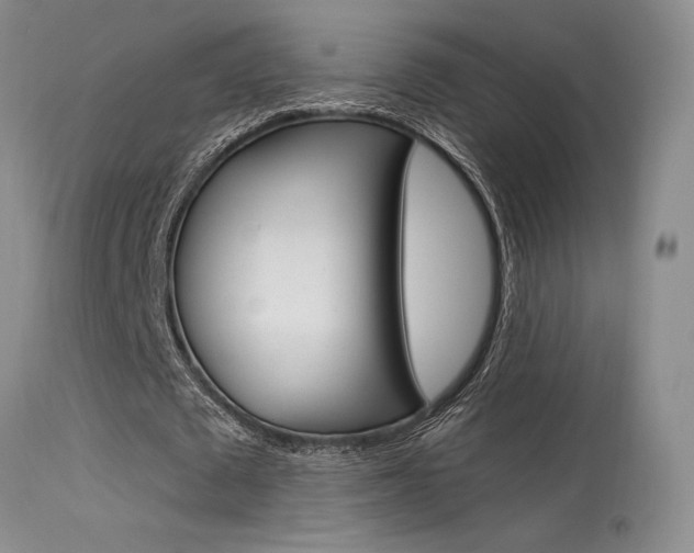 X0000115730673200911121126