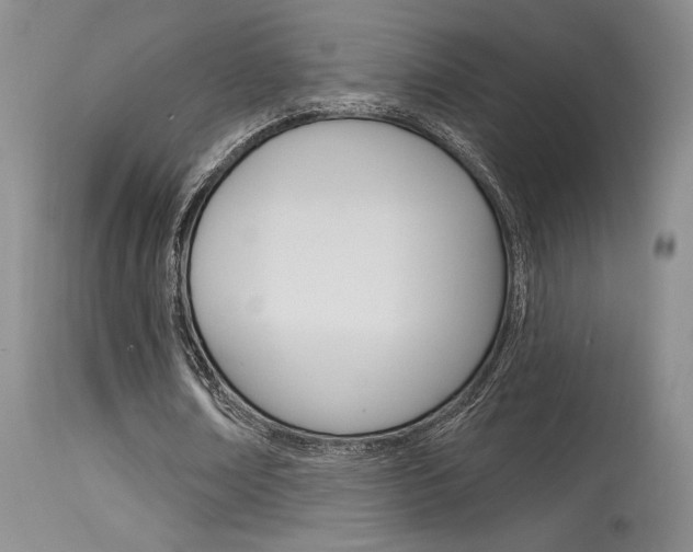 X0000115730674200911121126
