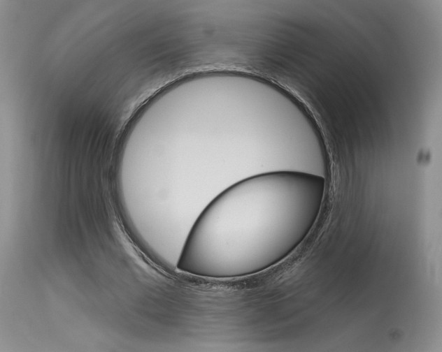 X0000115730677200911121126