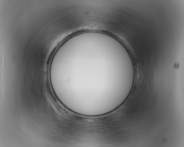 X0000115730678200911121126