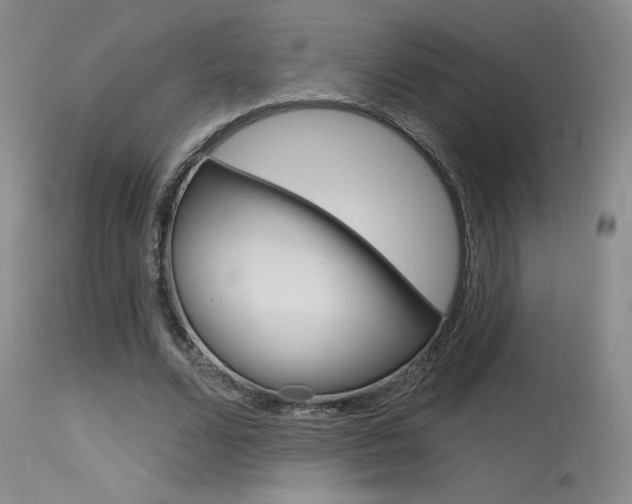 X0000115730680200911121126