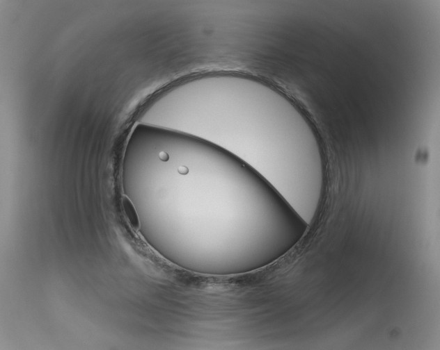 X0000115730684200911121126