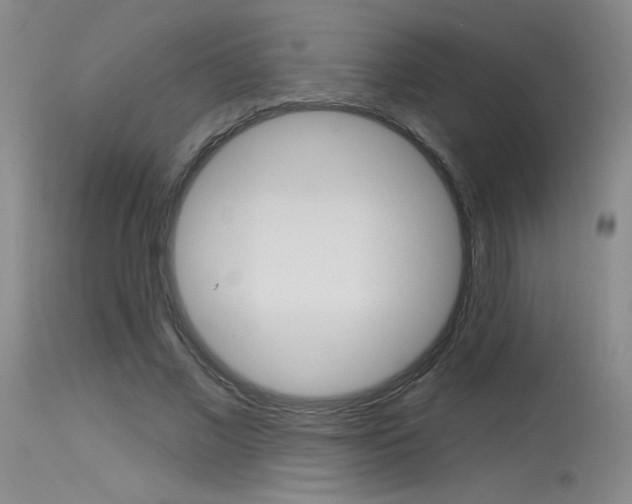 X0000115730685200911121126