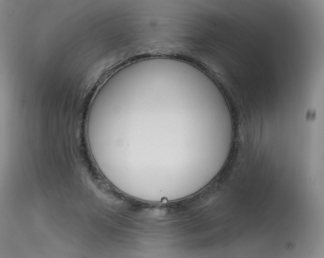 X0000115730687200911121126