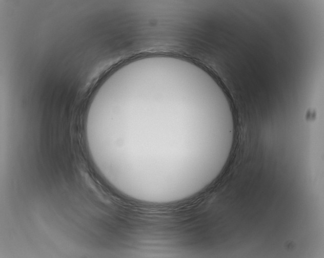 X0000115730688200911121126