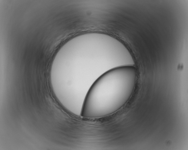 X0000115730689200911121126