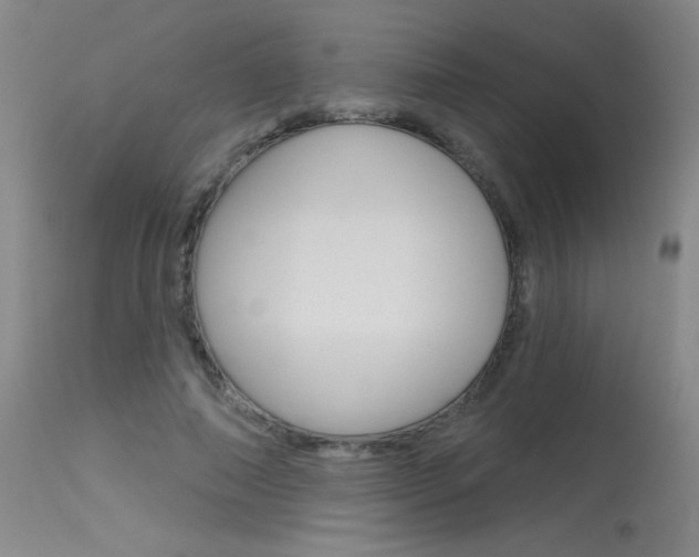 X0000115730690200911121126