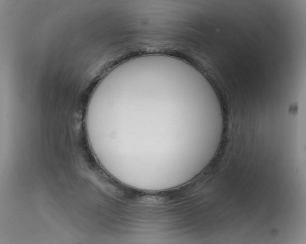 X0000115730691200911121126