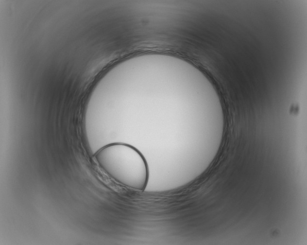 X0000115730692200911121126