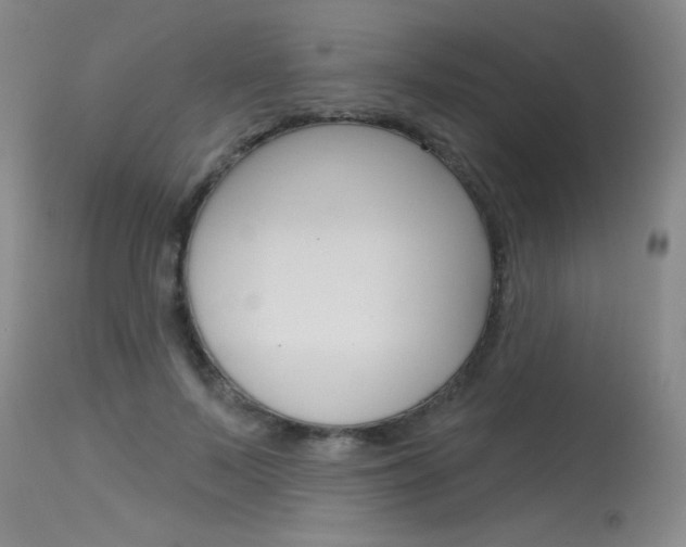 X0000115730695200911121126