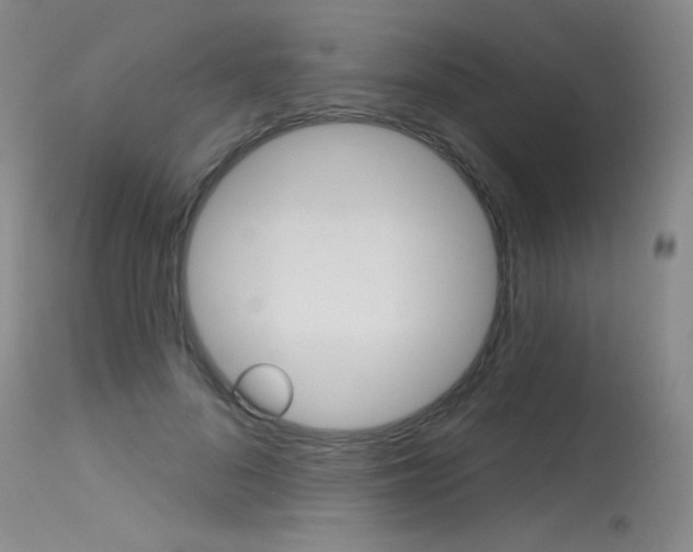 X0000115730696200911121126