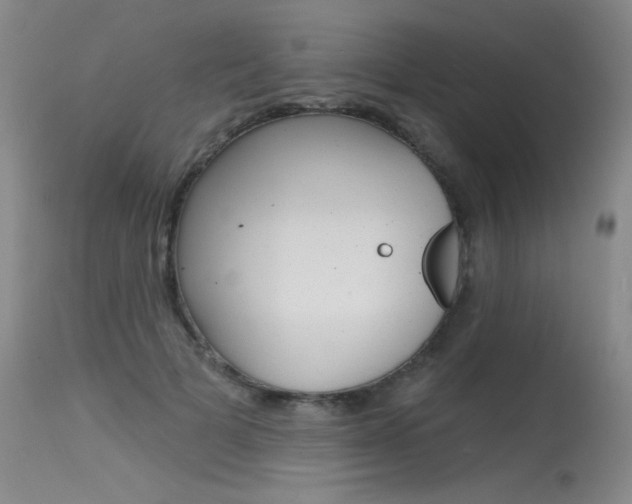 X0000115730697200911121126
