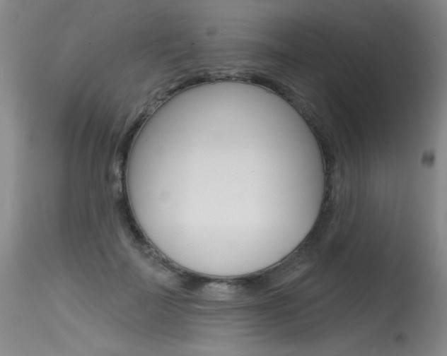 X0000115730699200911121126