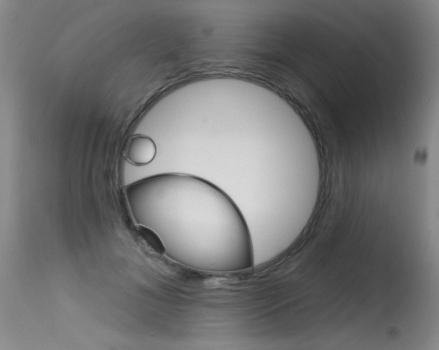 X0000115730700200911121126
