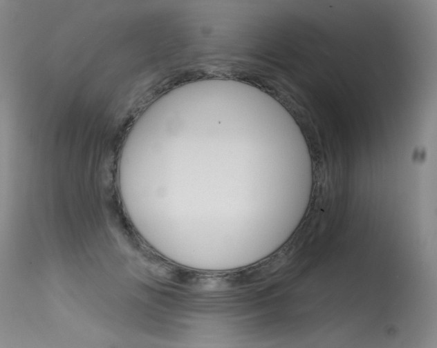 X0000115730702200911121126