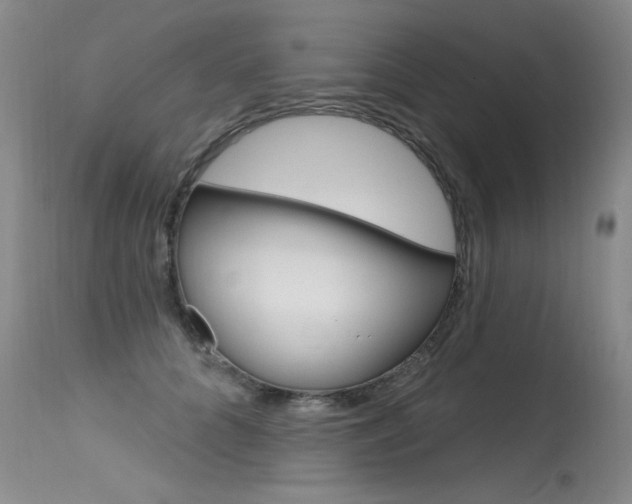 X0000115730704200911121125
