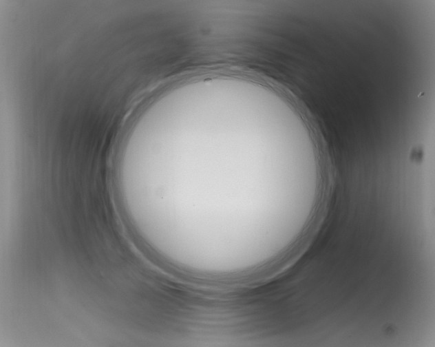 X0000115730705200911121125