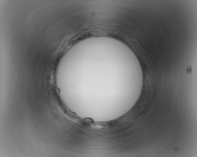 X0000115730706200911121125