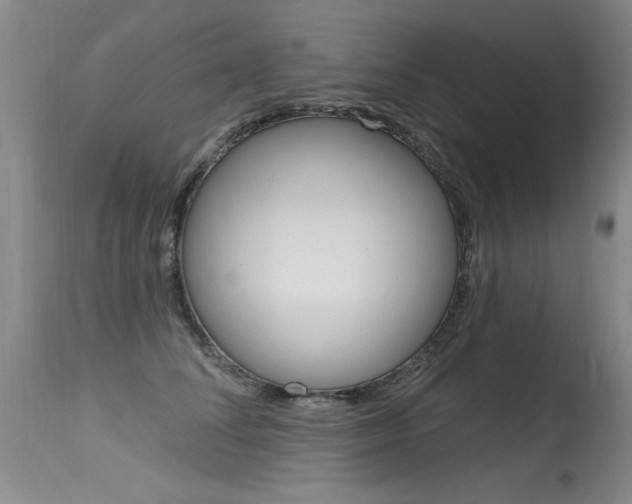 X0000115730708200911121125