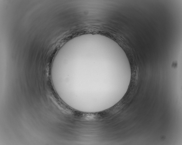 X0000115730710200911121125