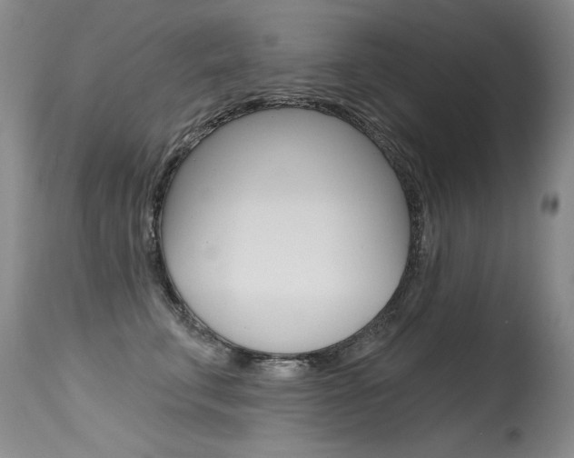 X0000115730711200911121125