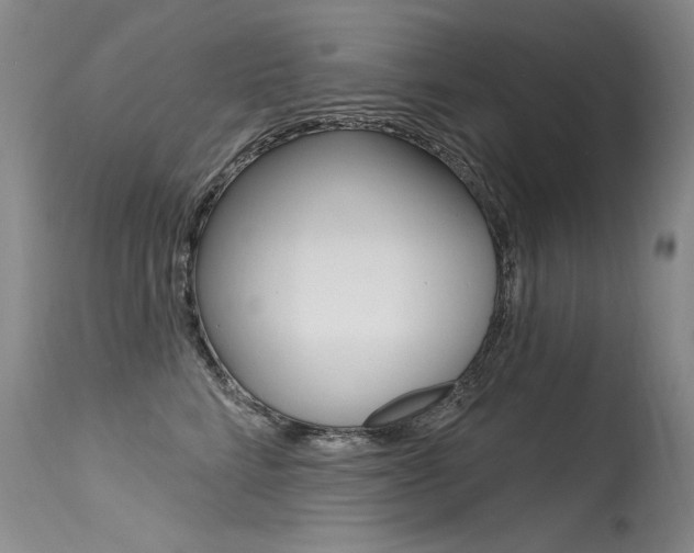 X0000115730712200911121125