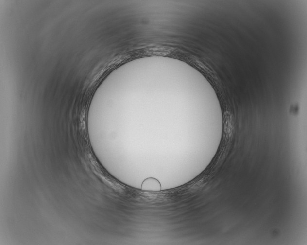 X0000115730713200911121125