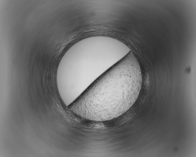 X0000115730715200911121125