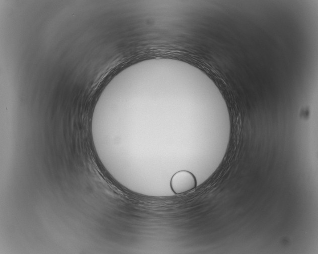 X0000115730716200911121125