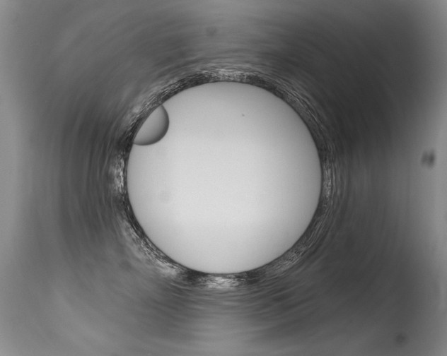 X0000115730718200911121125