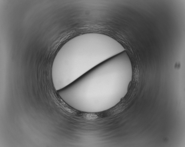 X0000115730719200911121125