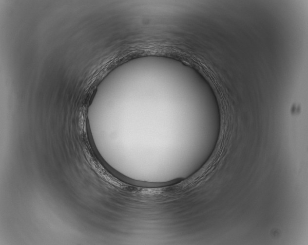 X0000115730720200911121125