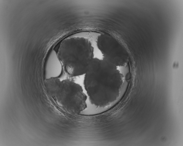 X0000115730721200911121125