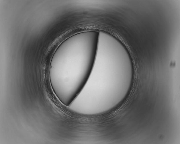 X0000115730722200911121125
