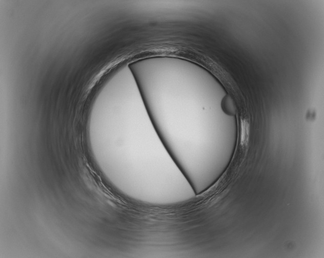 X0000115730723200911121125