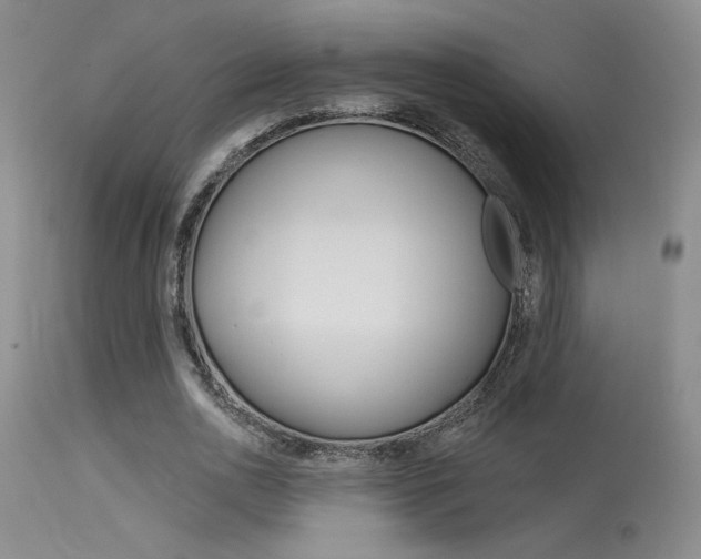 X0000115730726200911121125