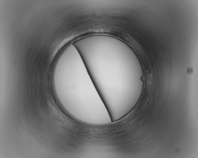 X0000115730727200911121125