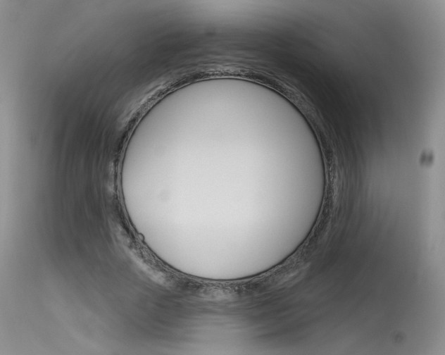 X0000115730729200911121125