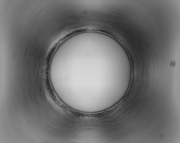 X0000115730730200911121125
