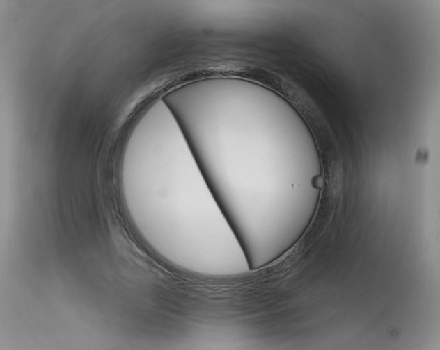 X0000115730731200911121125