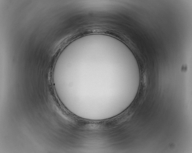X0000115730733200911121125