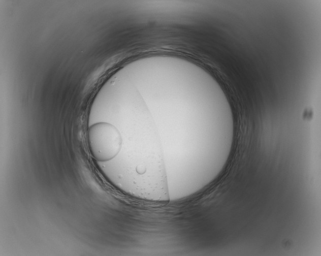 X0000115730734200911121125