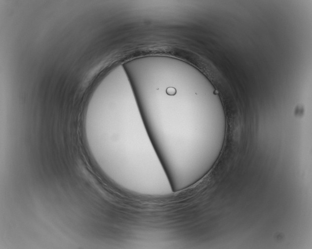 X0000115730735200911121125