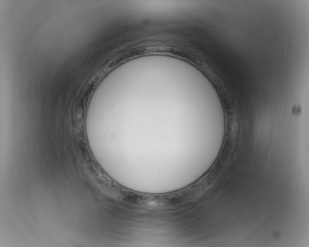 X0000115730737200911121125