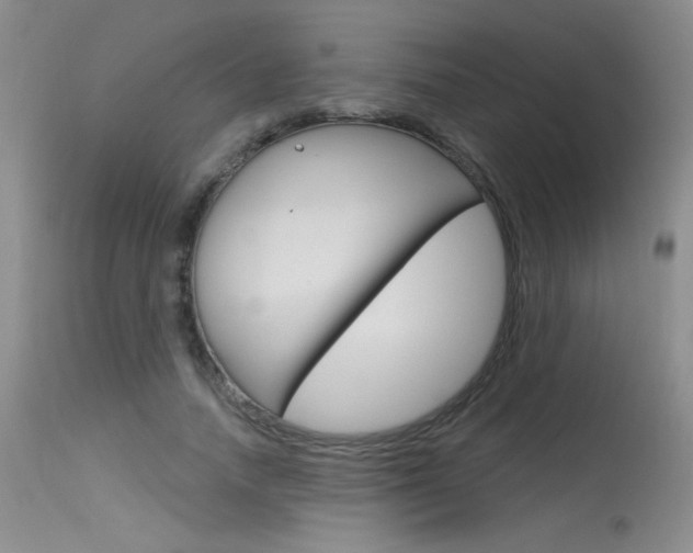 X0000115730738200911121125